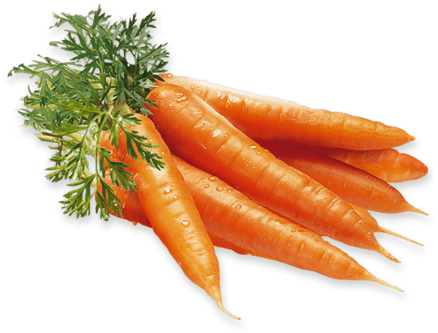 carrot